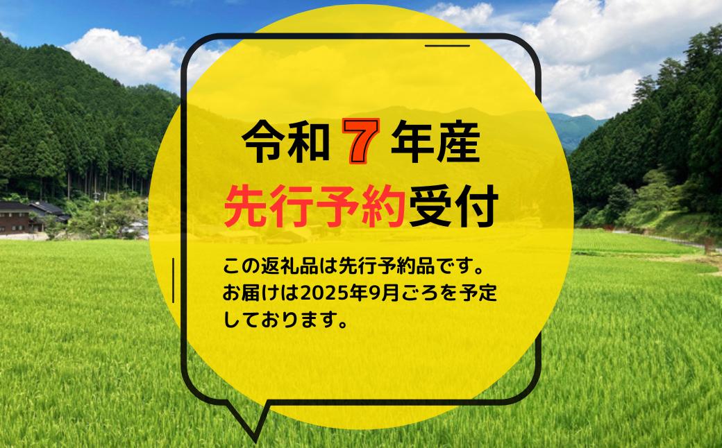 《令和7年産新米先行予約・9月ごろよりお届け開始》【3回定期便】白米 5kg 令和7年産 コシヒカリ 岡山 あわくら源流米 K-af-BEZA