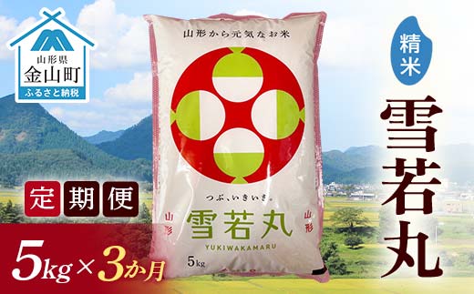 令和7年産《定期便》金山産米 雪若丸【精米】5kg×3ヶ月・定期便 計15kg 定期便 3ヶ月 米 お米 白米 ご飯 精米 ブランド米 雪若丸 送料無料 東北 山形 金山町 F4B-0692
