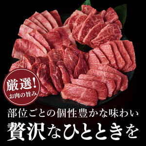 常陸牛5種焼肉セット希少部位入り　(２～３人前 500g）（NW-12）