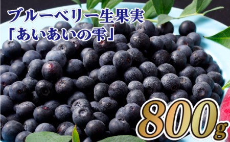 【収穫日に即日出荷】生ブルーベリー ｢あいあいの雫｣ 800g (200g×4パック) 小分けで嬉しい 【堀内フルーツファーム】ブルーベリー 収穫後即日配送ブルーベリー 農家直送ブルーベリー 産地直送ブルーベリー 小分けブルーベリー 