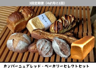 【3回定期便】しょこら亭 カンパーニュブレッド・ベーカリーセレクト 4ヶ月毎×3回  パン 詰め合わせ 冷凍 1Z52061