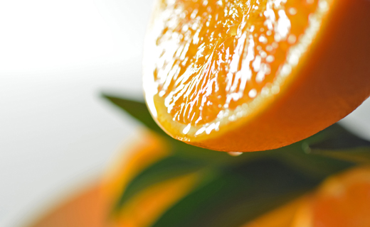 せとか 約3kg 贈答用 高知県産 ハウス栽培｜ハウスみかん 甘い 濃厚 ジューシー 香り豊か 希少 柑橘 柑橘の大トロ 化粧箱 果物 フルーツ プレミアム 国産 大月町 人気 美味しい おいしい お