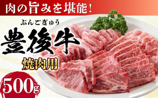 おおいた豊後牛 焼肉用 500g 日田市 / 株式会社MEAT PLUS 牛肉 おおいた豊後牛 おおいた 豊後牛 黒毛和牛 国産  焼肉 焼肉用 [AREI021]