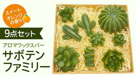 アロマワックスバー サボテンファミリー 9点セット ( スイートオレンジ / 緑色 )