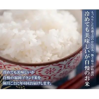 Z17-82 寄附額改定↓↓ 研ぐお米福岡県産・元気つくし10kg定期便(隔月・年6回)