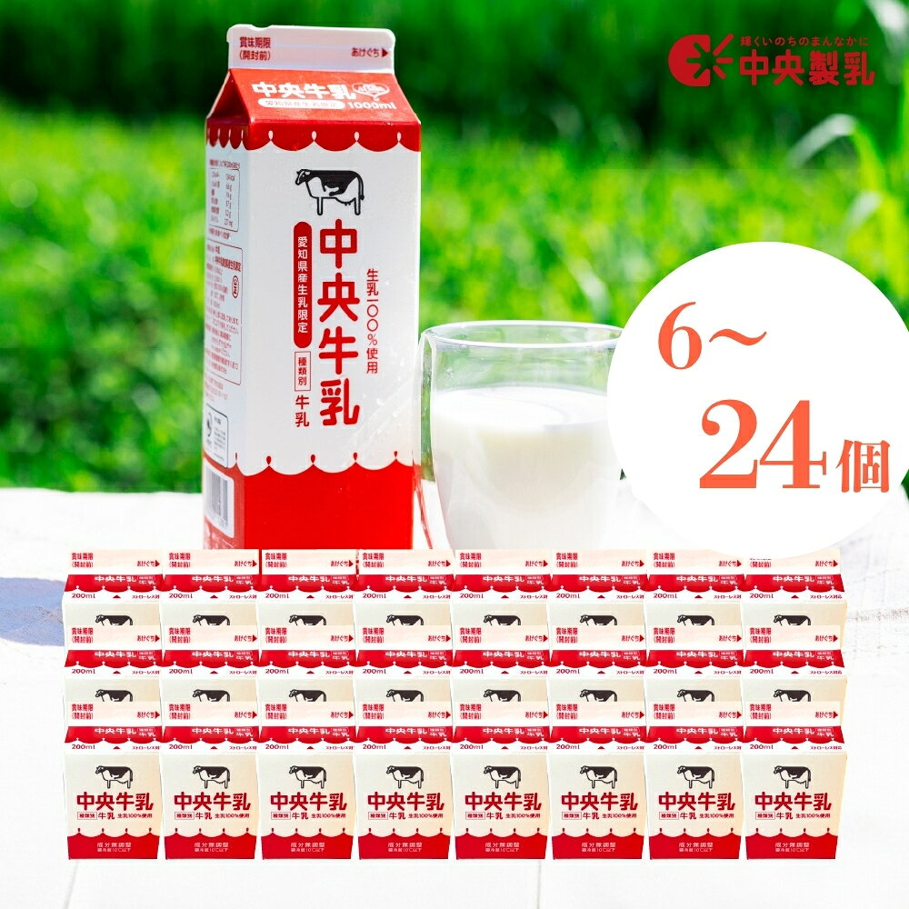 【ふるさと納税】 中央製乳 中央牛乳200ml 選べる 6本 24本 セット 牛乳 ミルク 成分無調整 牛乳 新鮮 生乳100%使用 愛知産生乳限定 飲みきりサイズ 愛知県 豊橋市