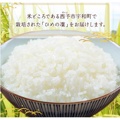 ふるさと納税 西予市 <令和7年産 愛媛県推進米 ひめの凜 約2kg> お米 コメ こめ 白米 精米 |  | 01