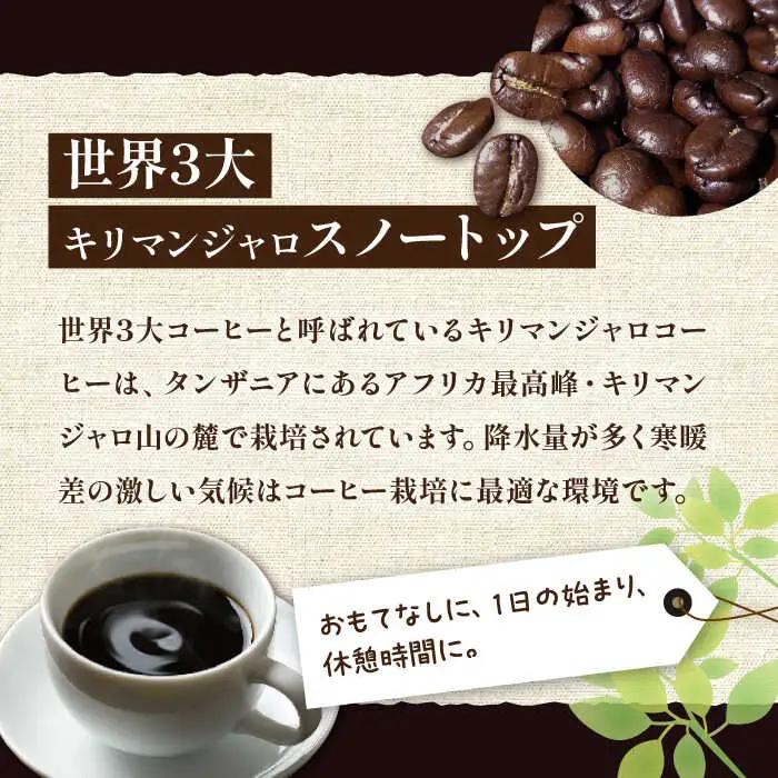 【全6回定期便】キリマンジャロ コーヒー 2種 ( 浅煎り フルーツフレーバー ＆ 中煎り チョコレートフレーバー )[VAS192]珈琲 コーヒー 