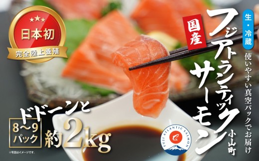 日本初 完全陸上養殖 静岡県小山町産 フジアトランティックサーモン 生 ・冷蔵 8～9P 約2kg | サーモン アトランティックサーモン 刺身 海鮮丼 小分け 真空パック 国産 鮭 養殖 静岡県 小山町