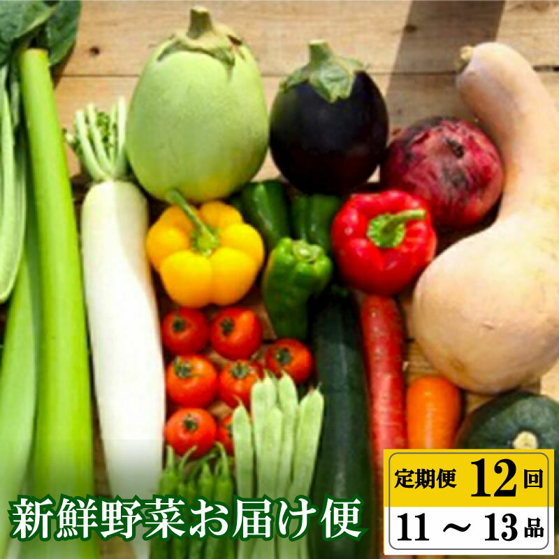 【ふるさと納税】 【早期予約】 全 12回 12ヶ月 定期便 季節 旬の 野菜 11 ～ 13品 詰め合わせ セット 年末年始限定 早期予約 期間限定 高知県 須崎市人気 ランキング 食品 お楽しみ バラエティ おすすめ