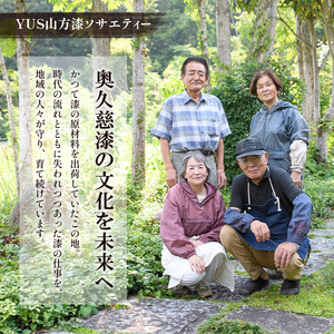 夫婦箸 はし 奥久慈漆 木 ペア 結婚祝い 茨城県 自然木 拭き漆箸セット 檜葉 ヒバ 2膳 ギフト 木製 箸 セット 木製箸 和 食器 和風 カトラリー 天然木使用 シンプル 日本製 【YUS山方漆