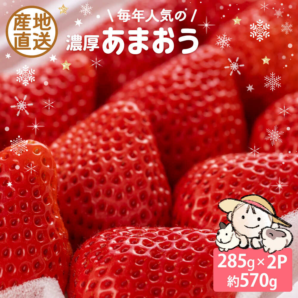 【ふるさと納税】【2025年12月中旬〜翌4月中旬発送】 あまおう 285g × 2P 約570g ココロファームの濃厚あまおう 《豊前市》【ココロファーム】[VAE010] 苺 いちご 福岡県産 【※北海度・沖縄および離島への配送不可】