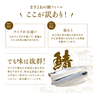 [001-c022_(20)] サバ切り身（無塩）1kg 【ますよね 海鮮 さば 鯖 切り身 無塩 魚 おかず 簡単】