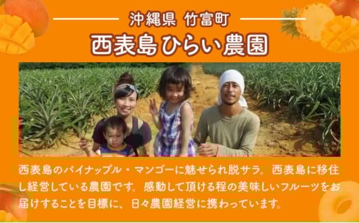 マンゴー 先行予約 沖縄 アップルマンゴー 約4kg 8～12玉 西表島 ひらい農園 2026年 発送 果物 フルーツ デザート 完熟 濃厚 約4kg（8～12玉）