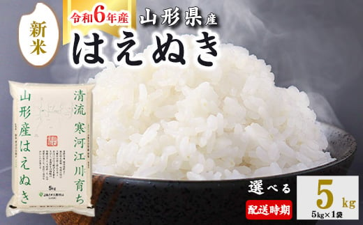 ＜ 2025年2月下旬＞ 令和6年産 はえぬき 5kg (5kg×1袋)  山形県産 010-C-JA007-2025-02G