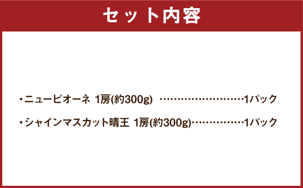 岡山県産 ぶどう パック 詰合せ ※2種2パックセット 計約600g 【2025年9月上旬～10月下旬発送予定】 岡山 シャインマスカット ニューピオーネ 果物 くだもの フルーツ ブドウ 葡萄 セッ