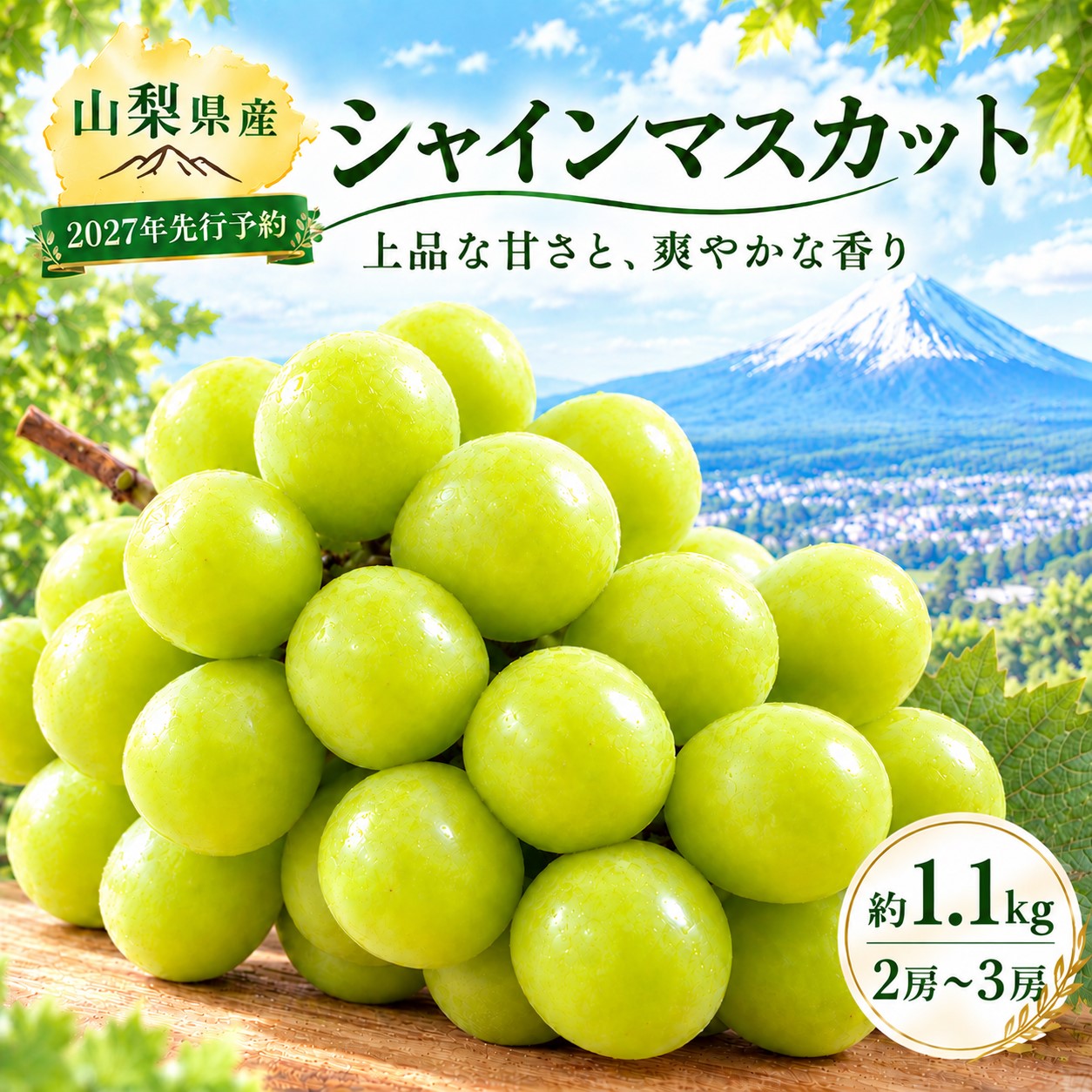 【2027年先行予約】山梨県産　シャインマスカット 約1.1kg (２房～3房)　｜　シャイン シャインマスカット ぶどう ブドウ 葡萄 フルーツ