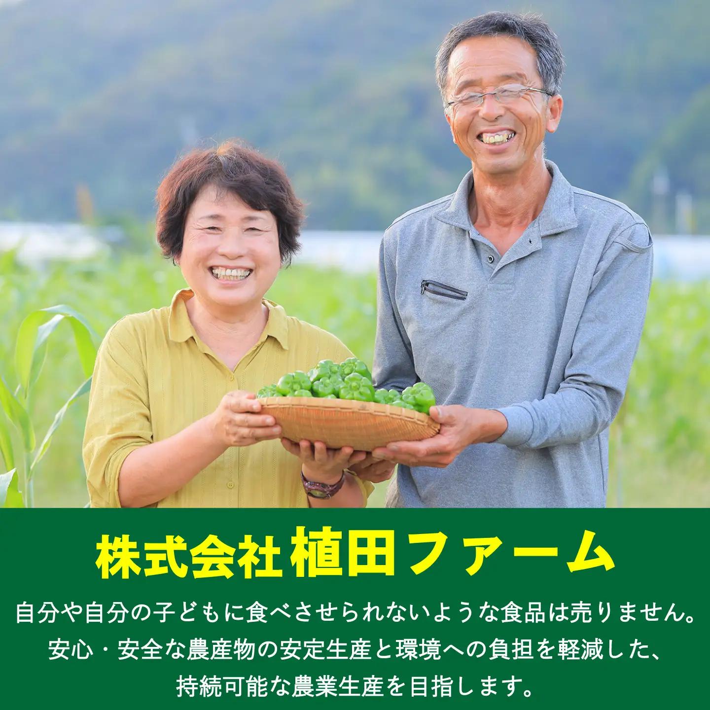 訳あり 植田ファームの自然乾燥平戸にんにく700g 〈2026年6月10日?2026年10月31日〉 高知県 土佐市【株式会社植田ファーム】[BQAT005]