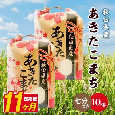 ふるさと納税 八郎潟町 【毎月定期便】あきたこまち 10kg(5kg×2袋)【7分づき(精米)】 秋田県産全11回