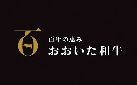 E-02 「おおいた和牛」肩ロースすき焼き用（500ｇ）