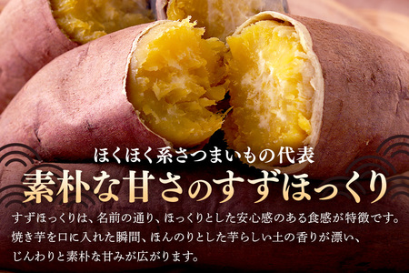 さつまいも すずほっくり 約5kg 無選別(L～Sサイズ) 茨城県産 ホクホク 食感 焼き芋 天ぷら 大学芋 しっとり 舌触り 自然の甘み スイーツ 野菜 サツマイモ 茨城県 潮来市 (A52-004