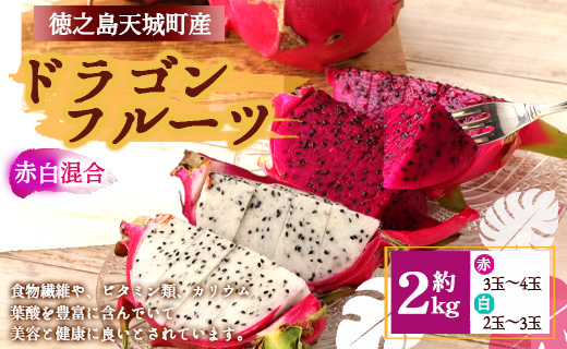 【2026年発送分】徳之島 天城町産 ドラゴンフルーツ 赤白混合 約2kg 家庭用 トロピカルフルーツ フルーツ 果物 果実 ピタヤ