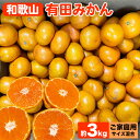 【ふるさと納税】【先行予約】【ご家庭用】和歌山 有田みかん 約3kg（サイズ混合） | みかん 訳あり 柑橘 先行受付 3kg フルーツ 果実 果物 SS 2L 混合 ※北海道・沖縄・離島への配送不可 ※2024年10月下旬～2025年1月中旬頃に順次発送予定