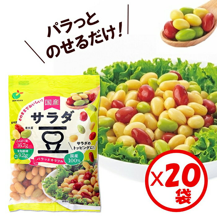 【ふるさと納税】「パラっとカラフル 国産サラダ豆 120g」×20袋 ※離島への配送不可