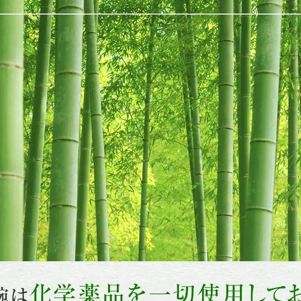 お椀 木製 WD1-1　1個 食器 自然素材 植物由来オイル使用 オーガニック 化学薬品不使用  宮城県 宮城 石巻市 石巻