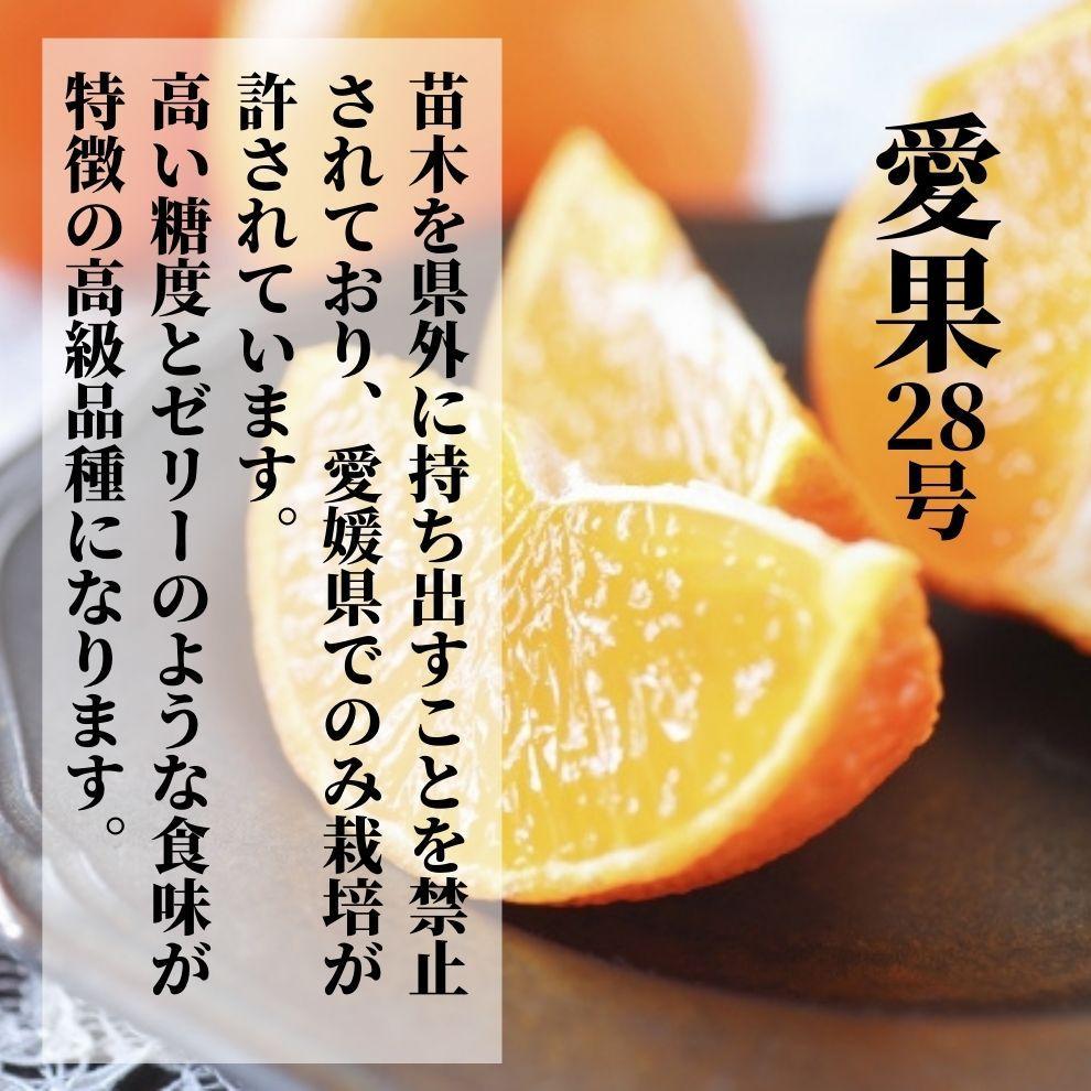 【早期予約受付中！2025年12月～順次発送】こだわりのハウス栽培【愛果28号】化粧箱