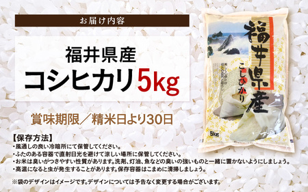 令和6年産 米 5kg 精米 コシヒカリ 福井県産《14日以内に出荷予定》【白米 5キロ こしひかり お米 ごはん 人気品種 産地直送 新生活 kome】 [e66-a004]