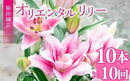  ユリ(オリエンタルリリー)10本 10ヶ月定期便【ユリ】