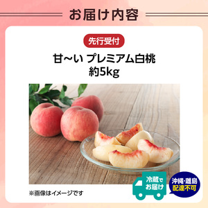 ≪先行受付≫ 甘～い プレミアム白桃 約5kg【2025年8月中旬頃～発送予定】 060-015