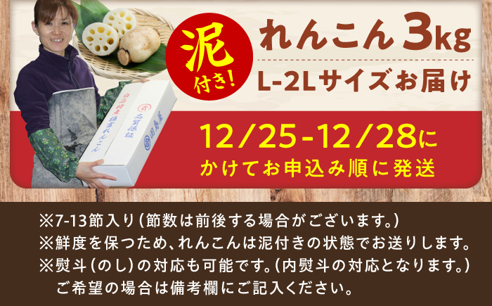 【年末発送・先行予約】田島屋れんこん 3kg（泥付き）/ れんこん レンコン 蓮根 佐賀県産 白石町産 / 佐賀県 / 田島屋れんこん [41ASDA003]