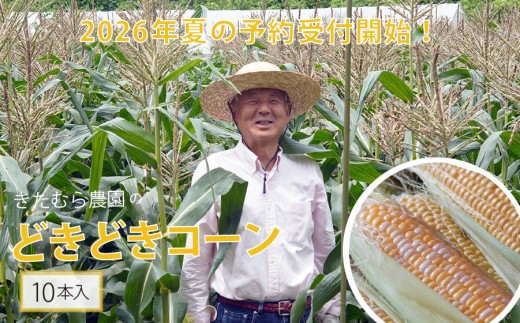 2026年夏の早期予約受付開始！きたむら農園『どきどきコーン』×10本セット（約4～4.2kg相当） 生で食べられる信濃町名産とうもろこし／スイートコーンの定番品種 令和8年7月下旬～8月下旬に出荷予定 【長野県信濃町ふるさと納税】