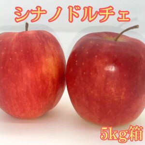 シナノドルチェ 5kg箱＜9月下旬より発送＞