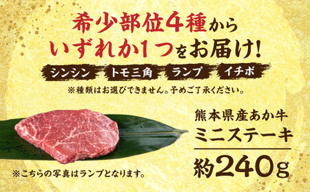 熊本 赤牛 ミニステーキ 約240g 【合同会社 たべたせいか】[AYCB035]