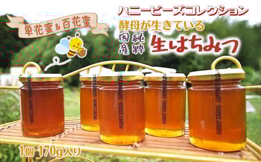 ハニービーズコレクション“しろいの季節”のはちみつ 170g 国産純粋生はちみつ