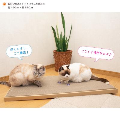 ふるさと納税 中津川市 猫のつめとぎ(中)【けっこう】おおきめサイズで2枚入り!