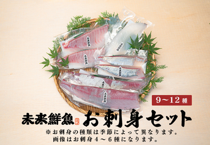 旬のお刺身用 柵セット 9～12種 高知 海鮮 盛り合わせ 食べ比べ 鮮度抜群 刺し身 グルメ 酒の肴