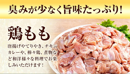【12ヶ月定期便】 九州産若鶏もも肉 計29.76kg 310g×8袋 肉 お肉 鶏肉 若鶏 もも肉 唐揚げ てりやき チキンカレー 棒々鶏 煮物 国産 九州 熊本県 菊池市 送料無料《お申込み翌月か