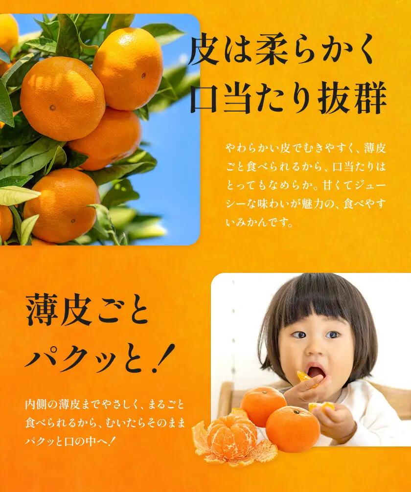 2ヶ月定期便 2種の柑橘 計6㎏ 日本フルーツ株式会社