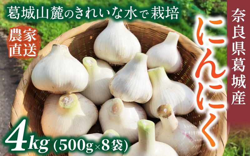 
                  奈良県葛城産 にんにく 約4kg(500g×8袋)  【2026年5月上旬～7月下旬順次発送】／ スマイル葛城農業 大和野菜  にんにく 農家直送 産直 新鮮 旬 名産 健康 美容 栄養 奈良県 葛城市【smlk066】
                