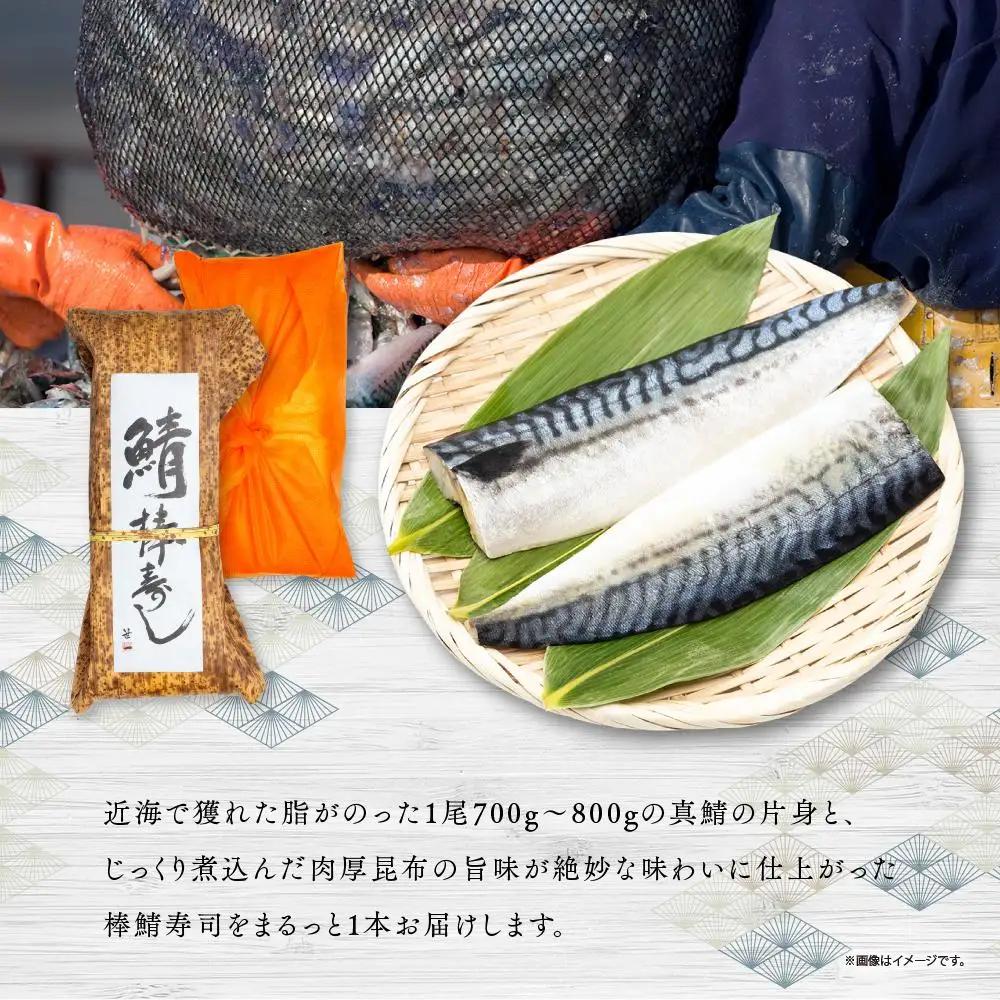 紀州和歌山の棒鯖寿司 1本［TM219］