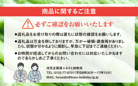 【先行受付】R8年産 アスパラガス 1kg 山内農園 | グリーンアスパラ グリーンアスパラガス アスパラ 大容量 野菜 春野菜 朝採れ 新鮮 極太 国産 サラダ 天ぷら 炒め物 家庭用 数量限定 旬