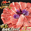 【ふるさと納税】焼肉 上カルビ 1kg （500g×2） 長崎和牛 A4～A5ランク キャンプ BBQ バーベキュー【野中精肉店】 [VF45] 牛肉 和牛 霜降り 焼き肉