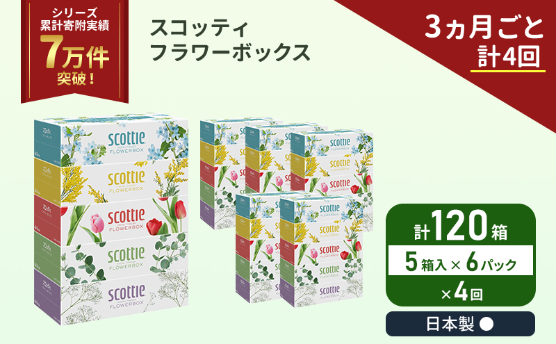 スコッティ フラワーボックス 120箱 (5箱×6パック)《3ヶ月ごと計4 回》 定期便 ティッシュ ティッシュペーパー