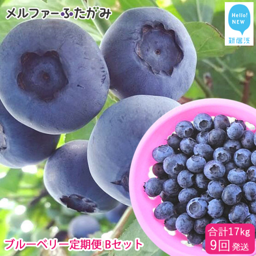 【定期便】 ブルーベリー三昧 Bセット（約17kg／9回発送） 完熟生ブルーベリー（8月中旬以降は冷凍ブルーベリー） エコえひめ認証