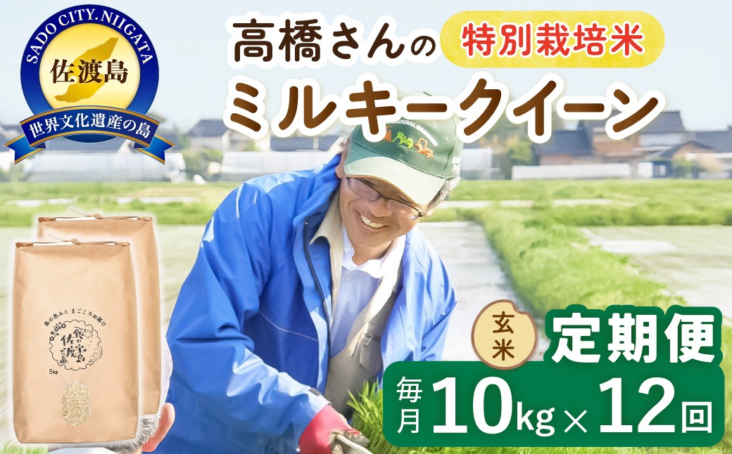 
                  【12か月定期便 ミルキークイーン】佐渡島産ミルキークイーン 玄米 合計120kg（10kg（5kg×2袋）×毎月全12回）令和8年産 新米 特別栽培米 | 新潟県産ミルキークイーン 新潟産ミルキークイーン 佐渡産ミルキークイーン みるきーくいーん お米 米 玄米 げんまい ブランド米 おこめ コメ 10キロ にいがた さど 新潟県 佐渡市
                