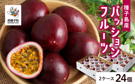《令和7年産》 種子島産パッションフルーツ 2ケース ( 24個入り ) パッションフルーツ 果物 フルーツ 食品 グルメ お取り寄せ お中元 人気 おすすめ 返礼品 南種子町 鹿児島 かごしま 【有限会社新栄物産】